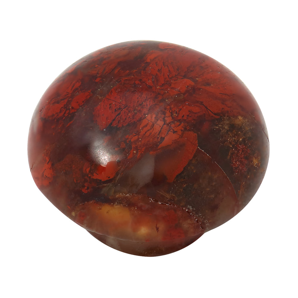 KJPS108 Deep Roots PopRock
